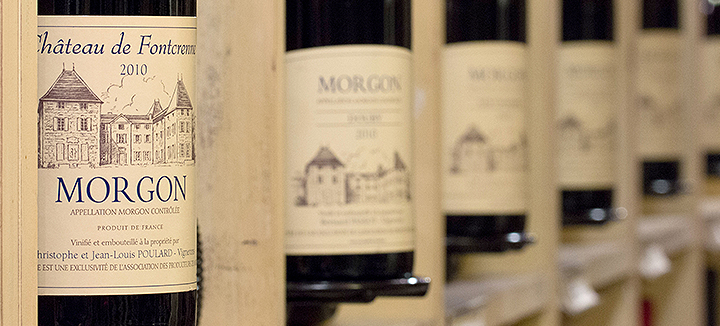 boutique du cru morgon