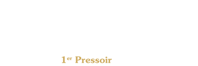 morgon.png