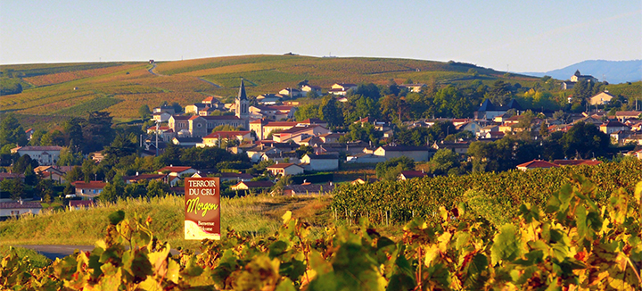 paysage de villié-morgon